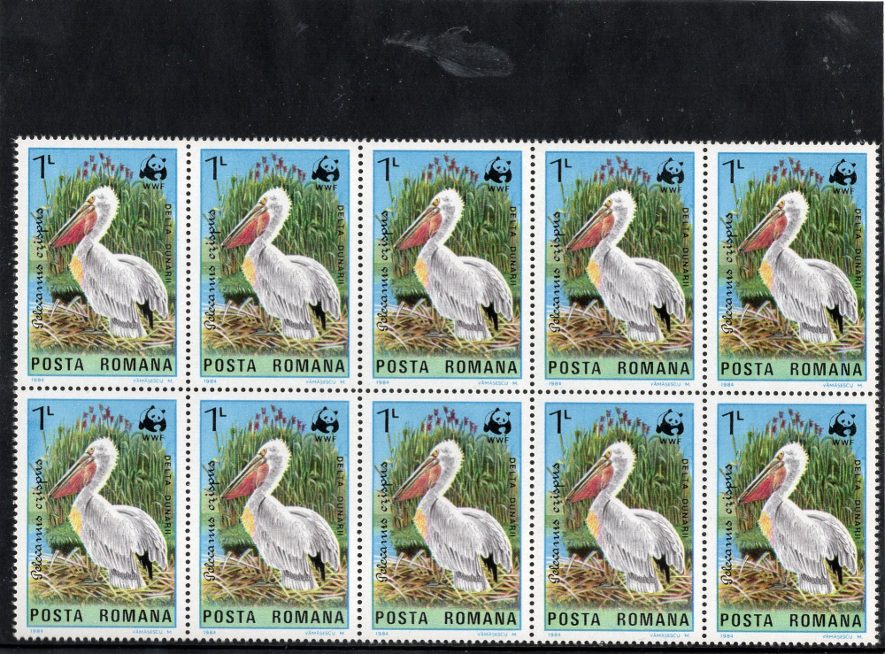 BLOC DE 10 PELICANI WWF 1984 [2]