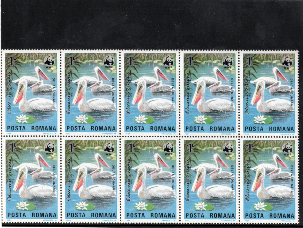 BLOC DE 10 PELICANI WWF 1984 [3]