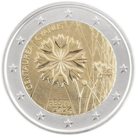 2 EURO 2024 ESTONIA ( ALBASTREA ) IN CAPSULA [2]