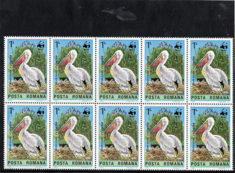 BLOC DE 10 PELICANI WWF 1984 [1]