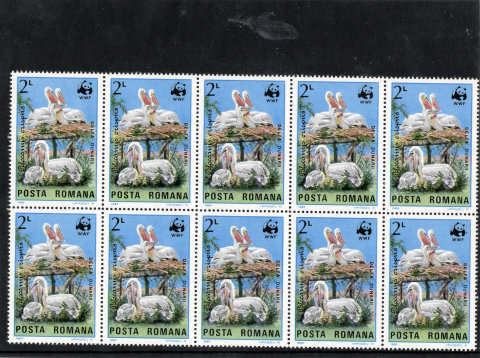 BLOC DE 10 PELICANI WWF 1984 [3]