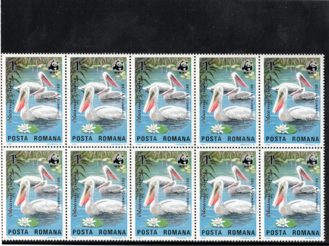 BLOC DE 10 PELICANI WWF 1984 [2]