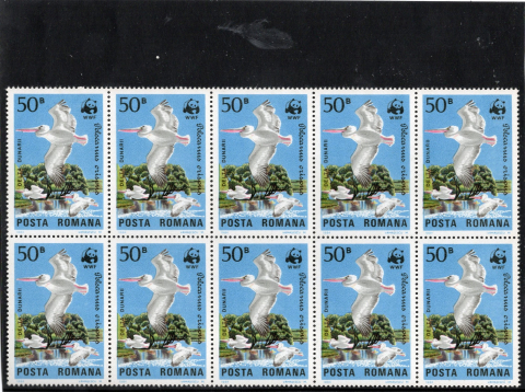 FILATELIE SI CARTOFILIE - BLOC DE 10 PELICANI WWF 1984