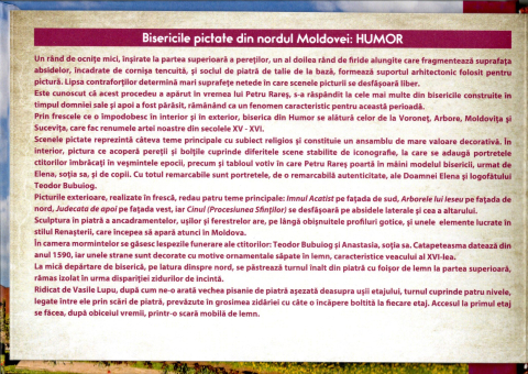 MEDALIA MANASTIREA HUMOR [7]