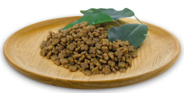 Hrana uscata Ultra Premium si Hipoalegenica pentru pisici Baby , Kitten si Adulte, toate rasele, cu carne de pui, curcan si somon (86 %) Natural Greatness Cat Wild Instinct  Cat,Kitten & Babycat 600g [2]
