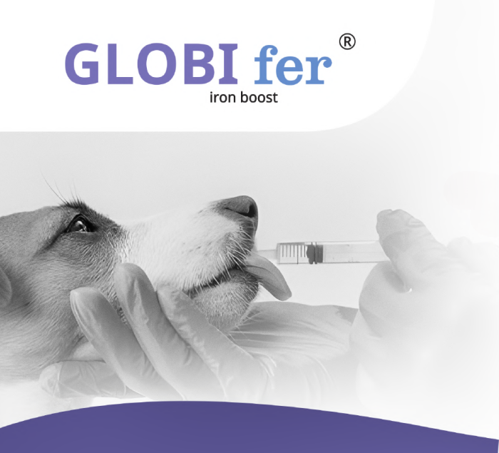Supliment veterinar cu formulă inovatoare recomandată ca adjuvant în tratarea simptomelor anemiei câinilor și pisicilor. Globifer Iron Boost 100ml [1]