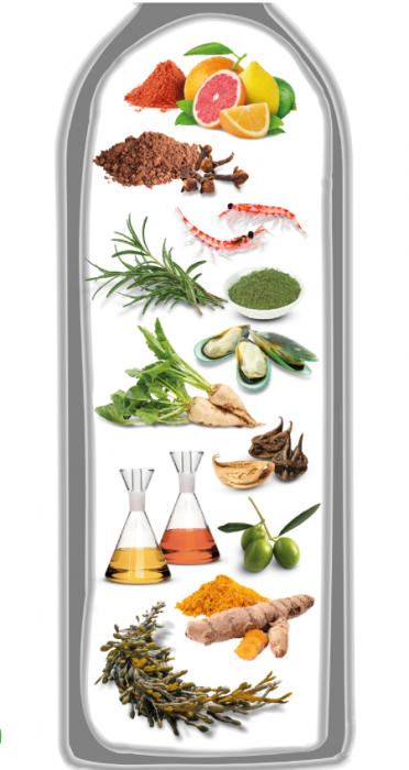 Ulei Somon 250ml cu rol  suplimentar in tratarea afectiunilor intestinale la caini si pisici ,  prin incorporarea de plante aromatice rozmarin ,cuisoare si turmeric in compozitie [3]
