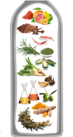 Ulei Somon Renal 250 ml cu rol suplimentar in tratarea afectiunilor renale la caini si pisici prin adaugarea in reteta a Uleiului de masline , Beta Carotene si Zinc - Necon [3]