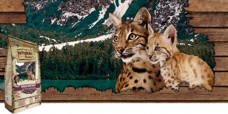 PISICI - Hrana Ultra Premium completa pentru pisici de toate varstele , rase medii si mari (Starter)  cu carne de pui, curcan si somon Natural Greatness CAT WILD INSTINCT MEDIUM – LARGE 6 kg