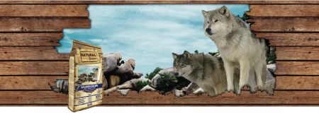 Hrana Uscata - Hrana ultra-premium, hipoalergenică și monoproteică,cu carne de somon, fără cereale ,pentru câinii adulți de rase medii&mari cu probleme ale pielii sau blănii. Nat Great All Br Med&Large somon 10kg