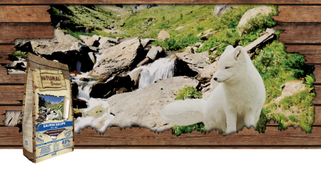 Hrana Uscata - Hrana ultra-premium, hipoalergenică și monoproteică,cu carne de somon, fără cereale ,pentru câinii adulți de rase mici și medii cu probleme ale pielii sau blănii. Natural Greatness mini somon 6 kg