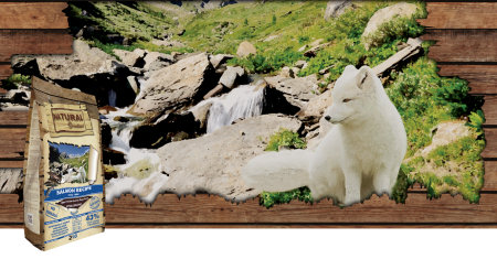 Hrana Uscata - Hrana ultra-premium, hipoalergenică și monoproteică,cu carne de somon, fără cereale ,pentru câinii adulți de rase mici și medii cu probleme ale pielii sau blănii. Natural Greatness mini somon 2 kg