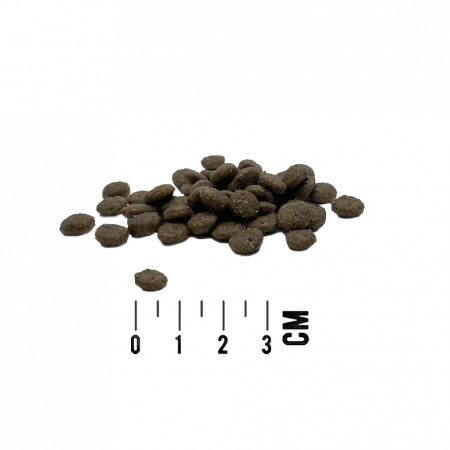 Hrana Ultra Premium ,pentru caini adulti de toate rasele cu o singura sursa de proteina ( Monoproteic ) , fara cereale ,cu 61 % carne de somon atlantic. Tundra Dog Atlantic Somon 11,34 kg [1]