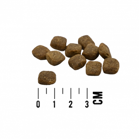 Hrana Ultra Premium Semiumeda pentru caini adulti, cu carne de miel proaspata (sursa unica de proteina) MACs Dog Mono Soft - Miel proaspăt 300g [1]