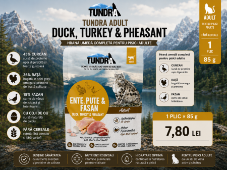 PISICI - Tundra Adult Curcan Rață Fazan hrană umedă pisici 85 g