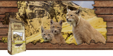 Hrana Uscata - Hrana uscata Ultra Premium si Hipoalergenica pentru pisici junioare si adulte cu sensibilitate digestiva , cu carne de iepure (82%) si fara cereale Natural Greatness Cat Top Mountain Cat & Kitten 6 kg
