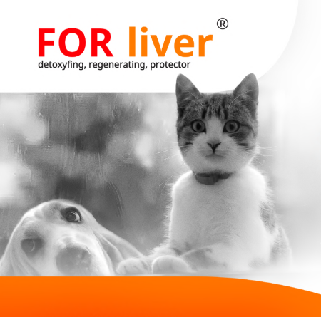 Nutraceutice - Supliment veterinar care sprijina functia hepatica la caini si pisici , contribuind la protectia , detoxifierea si regenerarea ficatului. For Liver 100ml