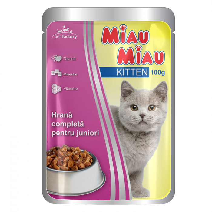 miaumiau kitten [1]