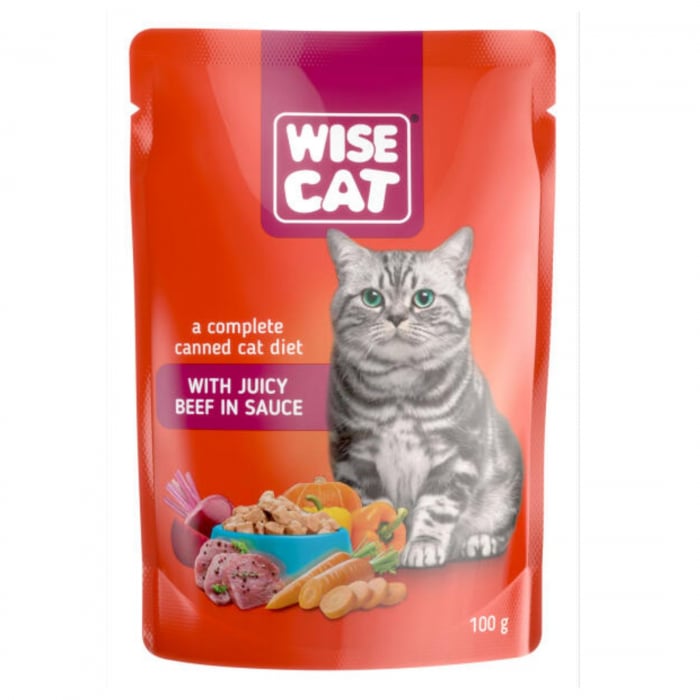 wisecat vita [1]
