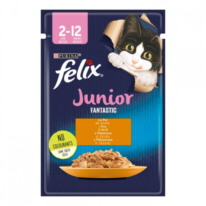 feli junior pui [1]