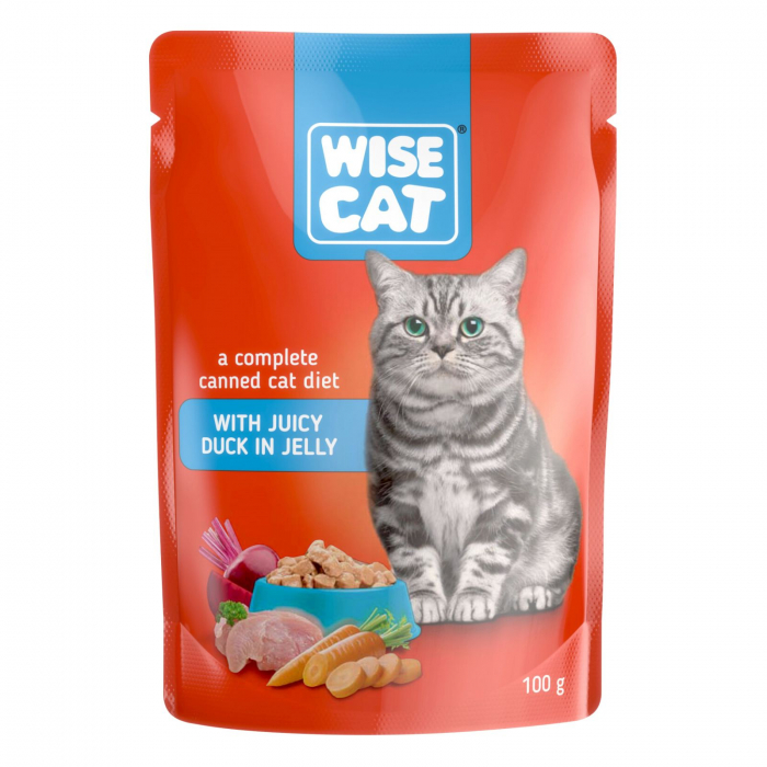 wisecat rata [1]