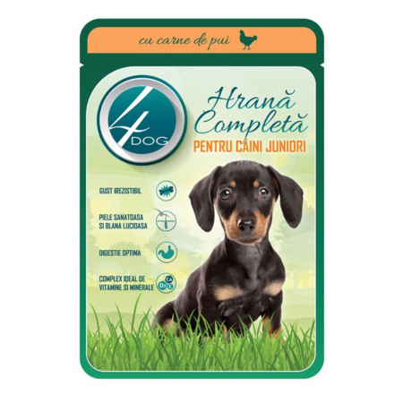 PET - 4dog pui