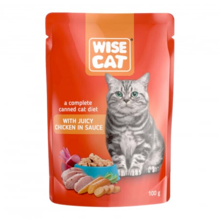 Pisici - Wise cat pui suculent