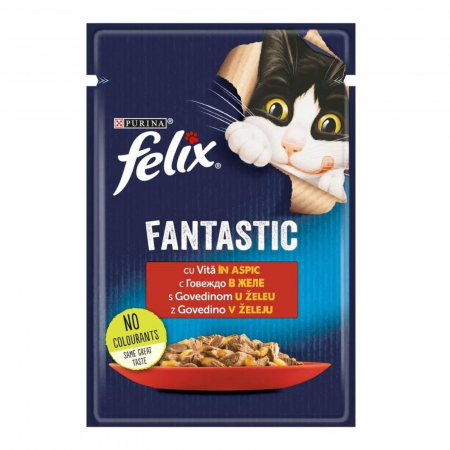 Pisici - felix fantastic vita