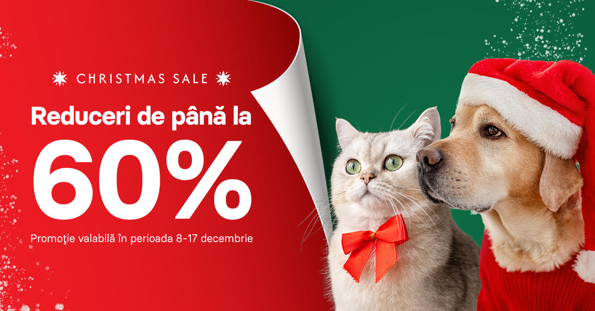 Banner Christmas 2025 Desktop [Promotii]