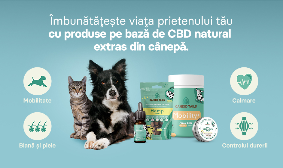 Banner Candid Tails Varianta Mobile