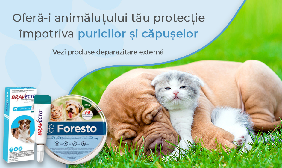 Banner - Deparazitari externe Mobile