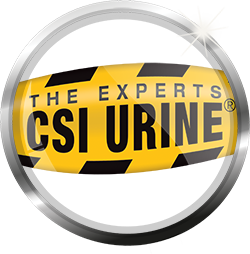 CSI Urine