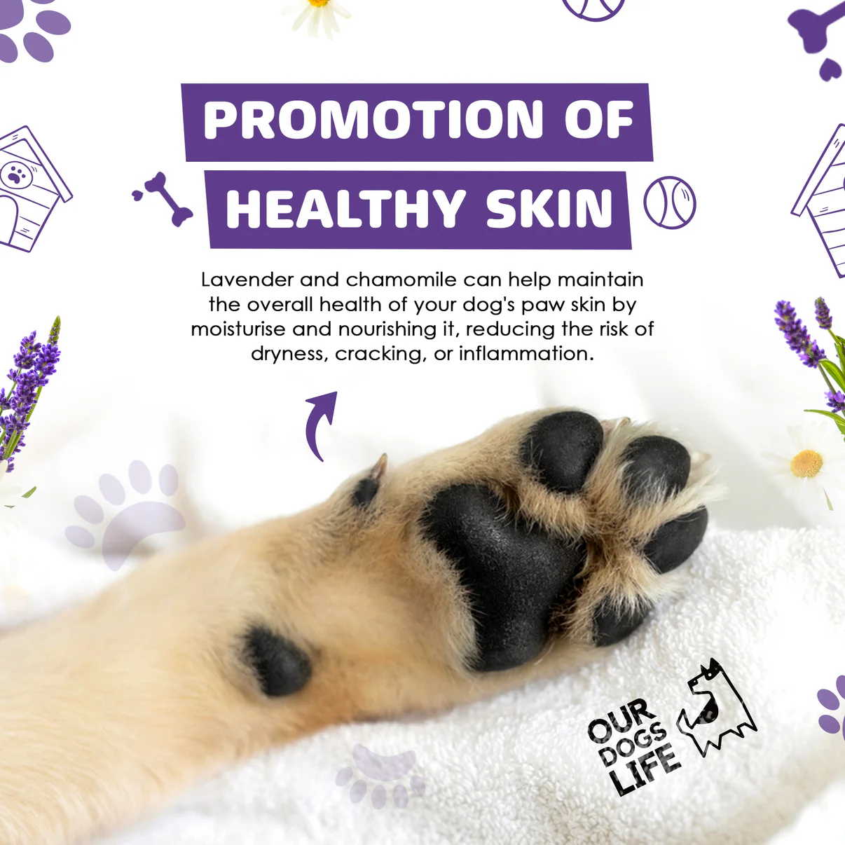 Sampon Spumă fără clătire cu perie de silicon pentru curățarea lăbuțelor OurDogsLife - 200 ml [4]