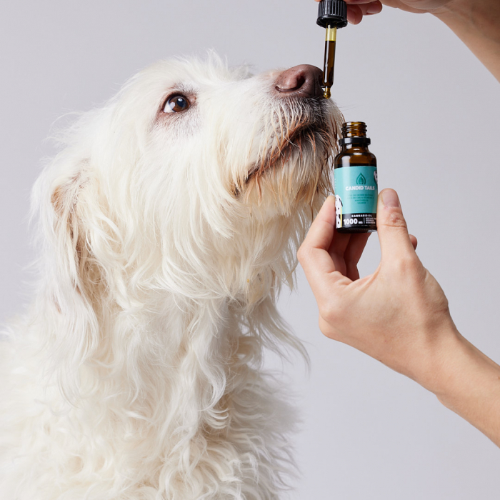 Petibidiol Oil 1000 mg (5%) for Large Dogs - 20 ml [5]