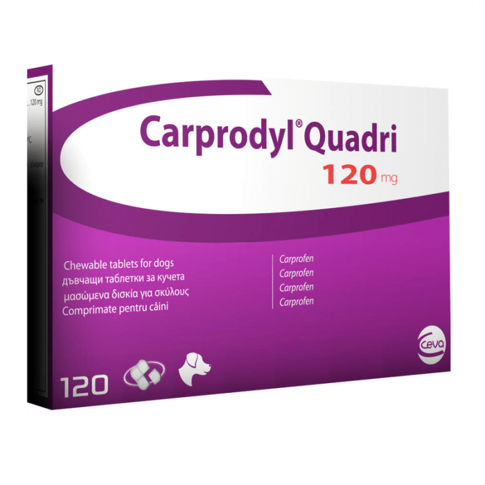 Carprodyl Quadri 120 mg - Blister 6 tablete [2]