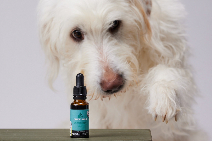 Petibidiol Oil 1000 mg (5%) for Large Dogs - 20 ml [3]