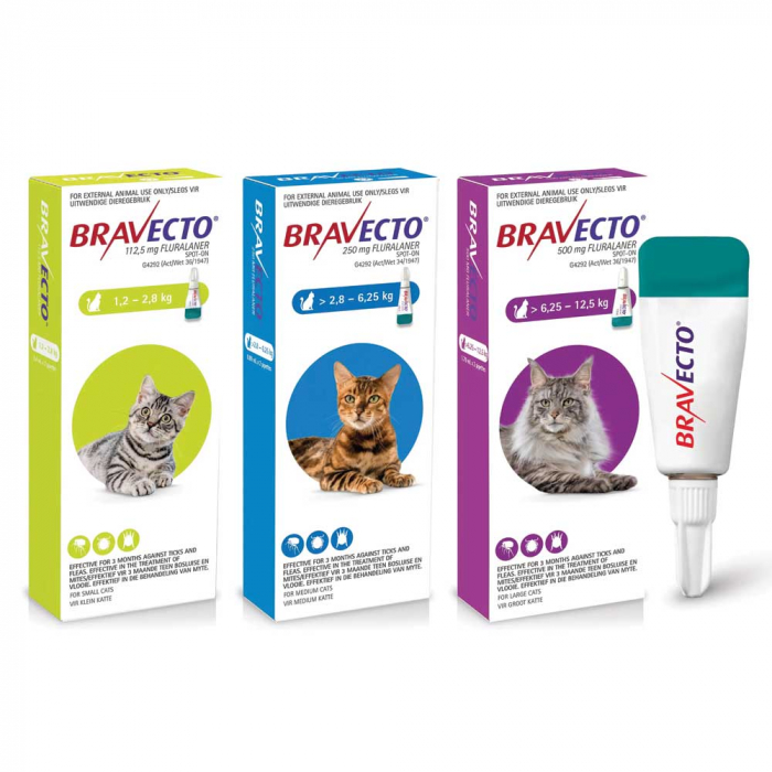 Bravecto Cat spot on 250 mg (2,8-6,25 kg) - o pipetă [2]