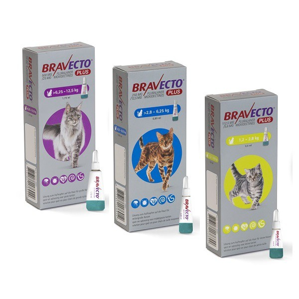 Bravecto Plus Cat spot on 250 mg (2,8-6,25 kg) - o pipetă [2]