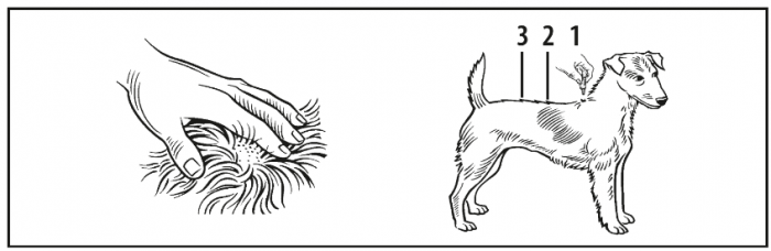 Advantix 40 (sub 4kg) - o pipetă [4]