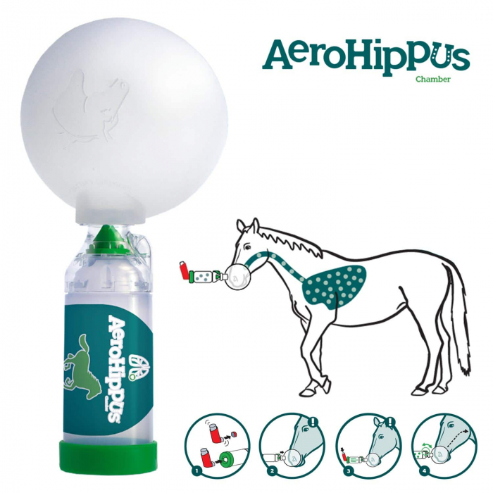 AeroHippus – dispozitiv administrare aerosoli la cai [2]