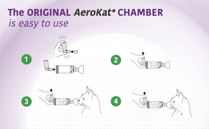 AeroKat – dispozitiv pentru administrare aerosoli la pisică [4]