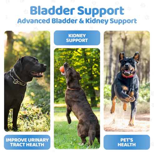 Bladder Support for Dogs OurDogsLife - 140 chews [5]