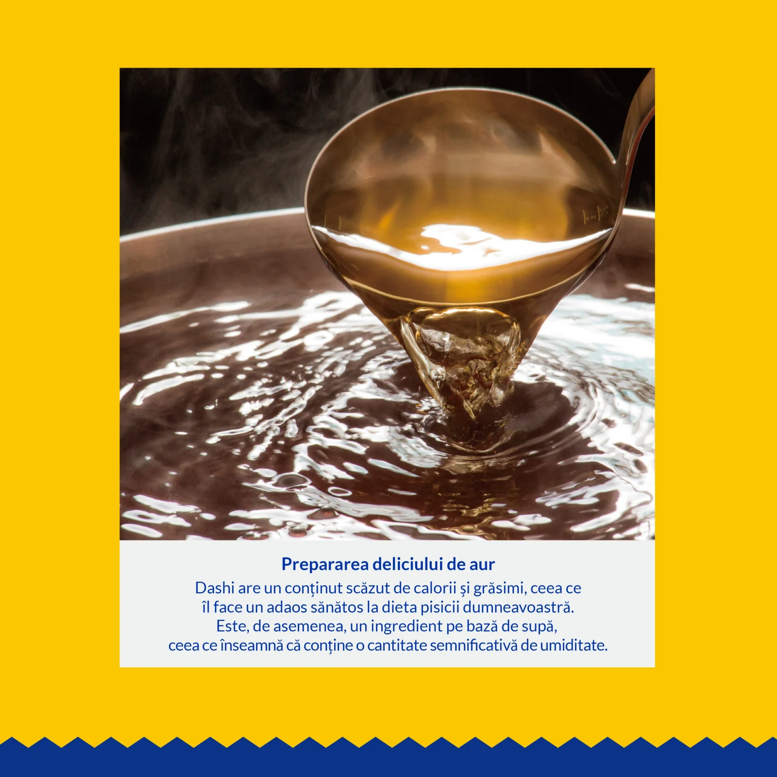 Churu Dashi Delights Hrană Umedă pentru Pisici cu Pui – Conservă 70 g [6]