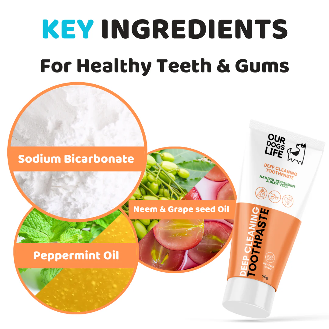 Dental Care Kit - Periuțe și Pastă de dinți OurDogsLife [4]