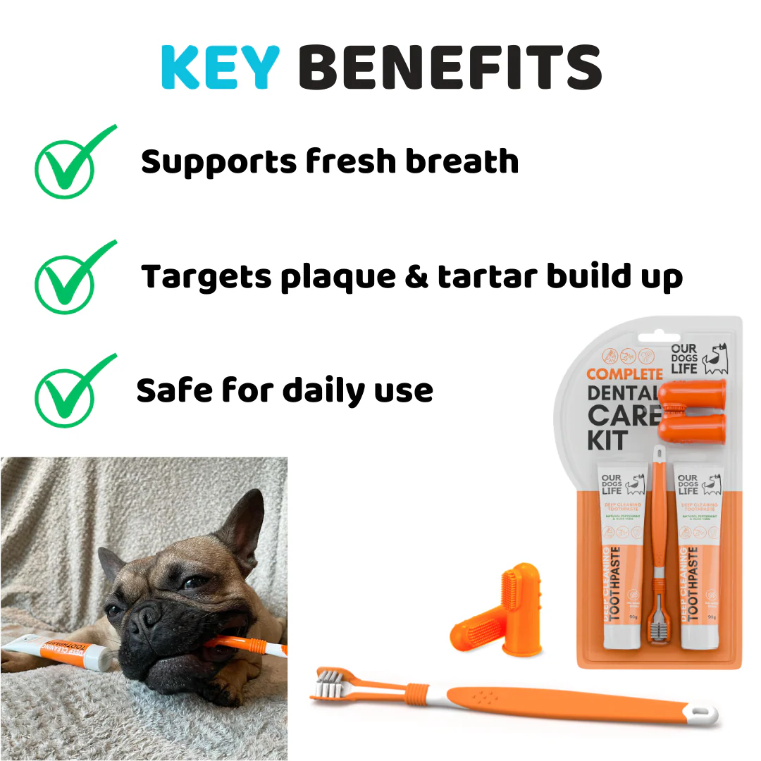 Dental Care Kit - Periuțe și Pastă de dinți OurDogsLife [3]