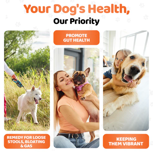 Digestive Supplements for Dogs OurDogsLife - 140 chews [4]