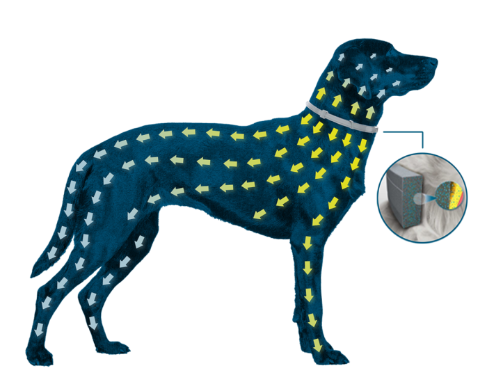 Foresto Zgardă Antiparazitară pentru câini peste 8 kg – 70 cm [3]