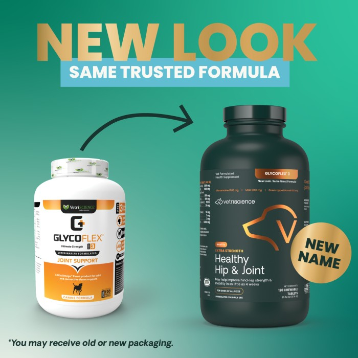 Healthy Hip & Joint - Glyco Flex 3 - 120 tablete palatabile [2]