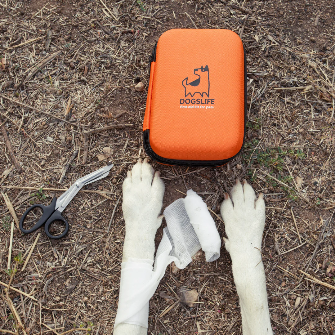 Kit de prim-ajutor pentru câini OurDogsLife [4]