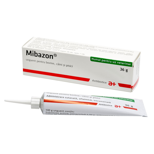 Mibazon unguent - 36 g [1]